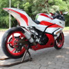 Elegant Sporty Ninja 250R